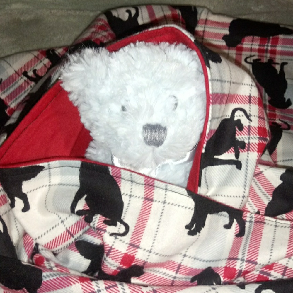 Red Plaid Dog Baby Blanket
